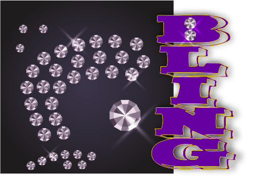 PRODUCTS EXTRA FEATURES BLING